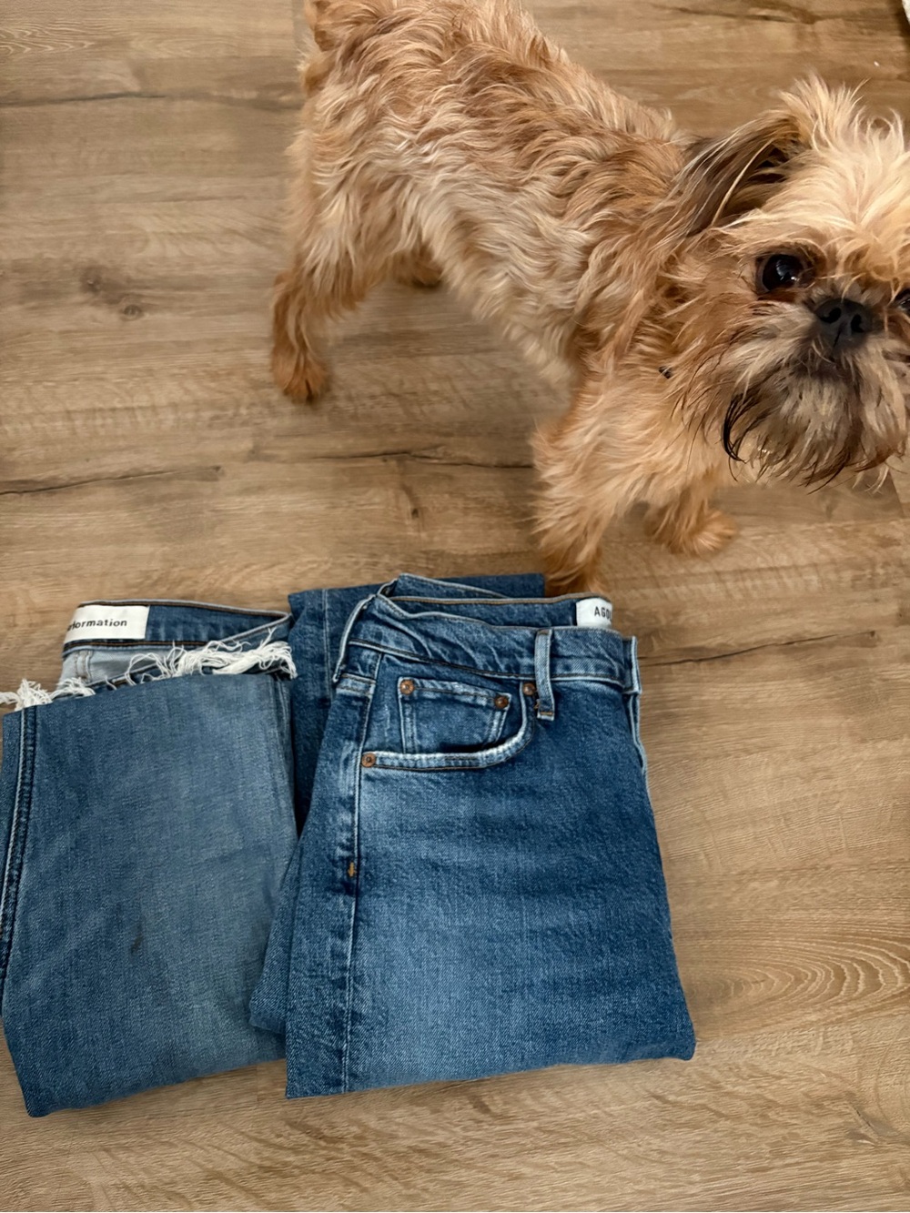AGOLDE & Reformation Women's Jeans